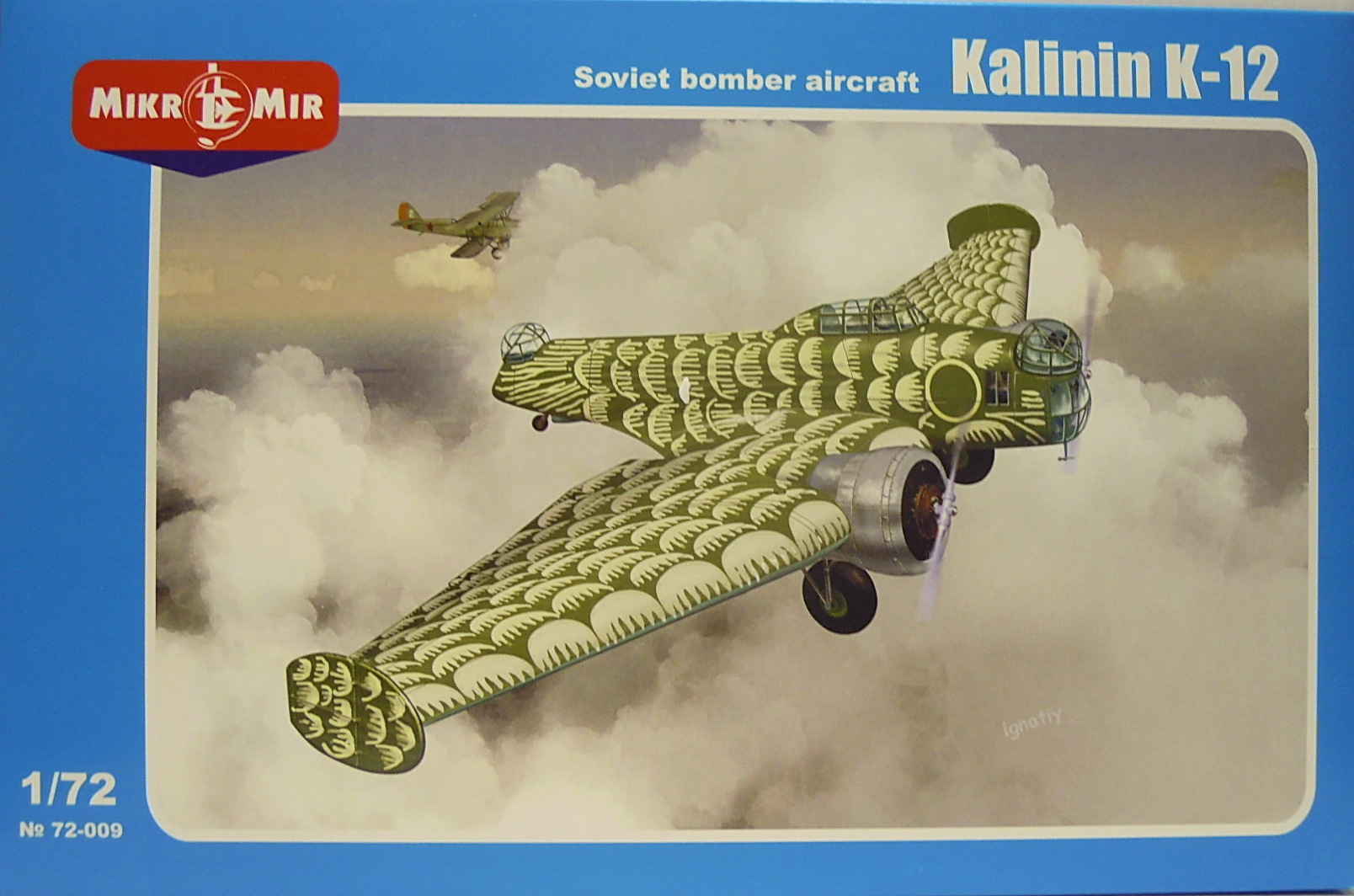 Kalinin K-12 Soviet bomber aircraft 