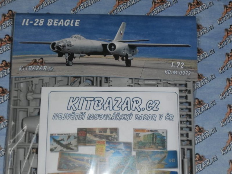 Il-28 